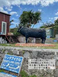 【黒島】石垣島から日帰りでも行けるのどかな島