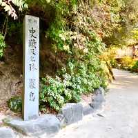 【宮島ロープウェイ/広島県】御神体の弥山へと誘う道