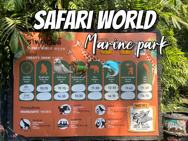 ชมโชว์ความสามารถของสัตว์ต่างๆ🐬