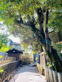 【伊勢神社/栃木県】足利で三社めぐってお伊勢参り