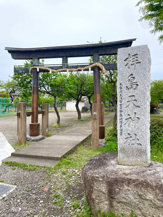 【拝島天神社/東京都】梅の木がたくさん並んでいる