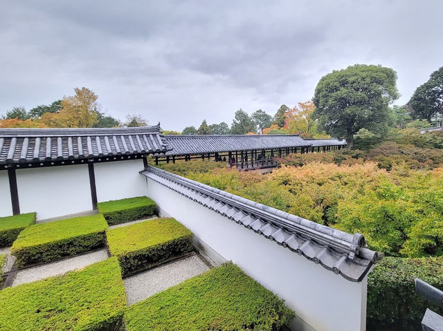 Serene Gem in Kyoto