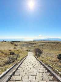 【神奈川/箱根】ロープウェイで天空の社殿へ 