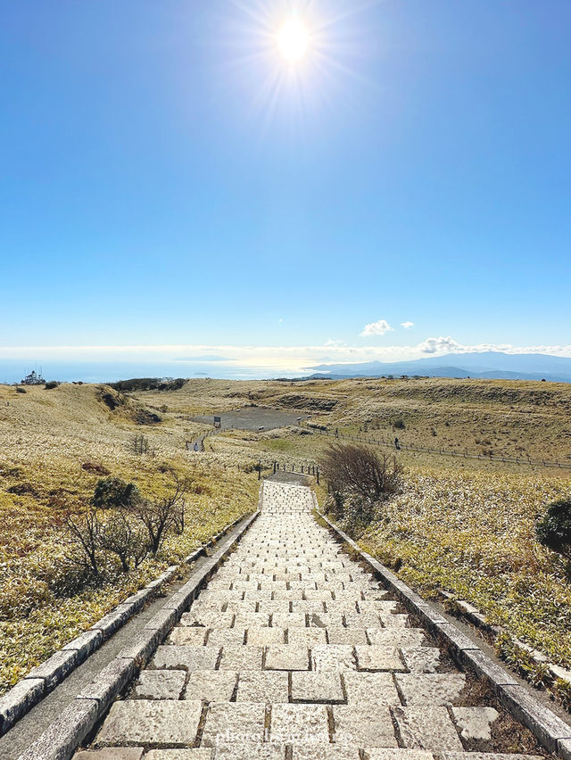 【神奈川/箱根】ロープウェイで天空の社殿へ 