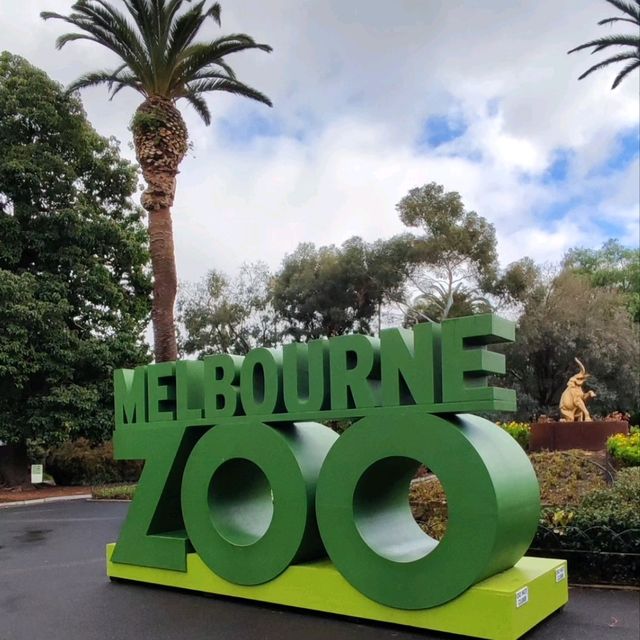 墨爾本動物園 Melbourne Zoo 