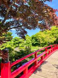 【島根　松江】庭園の中を歩ける