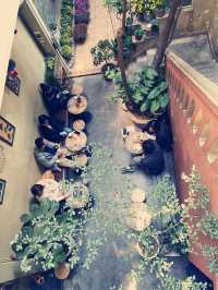 Dating with a blackbird 🐦‍⬛ in Hanoi cafe 