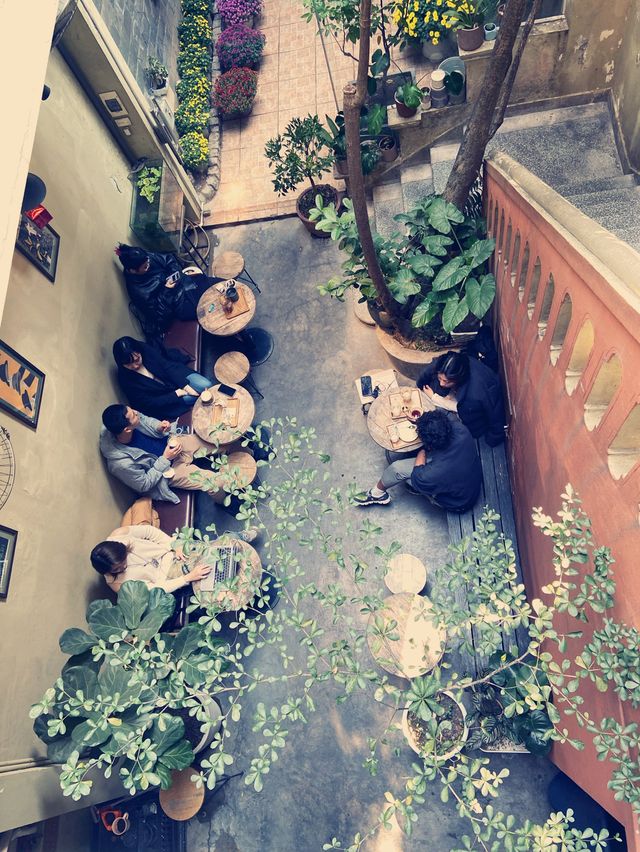 Dating with a blackbird 🐦‍⬛ in Hanoi cafe 
