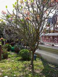 ลอดโบสถ์เก่าที่ วัดโบถส์หลวงปู่เทียน