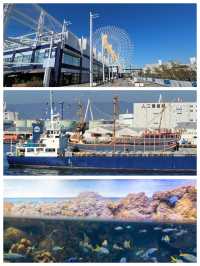 【大阪景點】海遊館：獨特設計、豐富展覽
