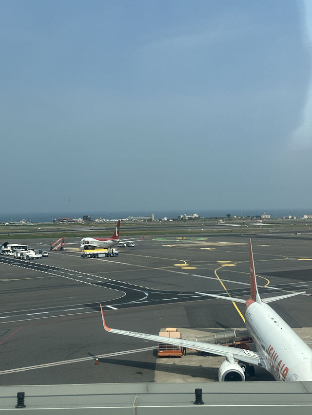제주여행의 마무리는 ✈️ 제주공항 전망대에서 오션뷰 즐기기!