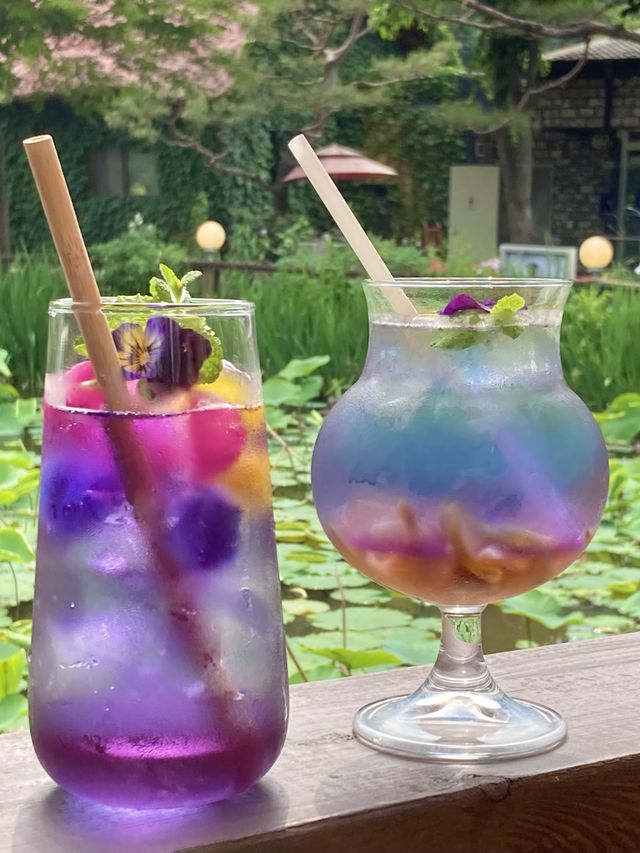 🌸향긋한 꽃차 마시며 힐링 가평 카페 ’오롯이,꽃‘