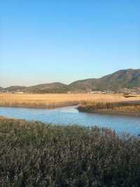【全羅南道】順天灣濕地庭園：感受大自然的詩意，隨處可見的湖光山色