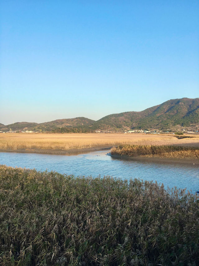 【全羅南道】順天灣濕地庭園：感受大自然的詩意，隨處可見的湖光山色