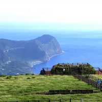【八丈島】無料ではいれる牧場🐮