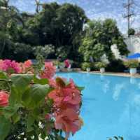 Over 100 years 5 stars Hotel in Surabaya