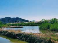 Hwapocheon wetland ecological park