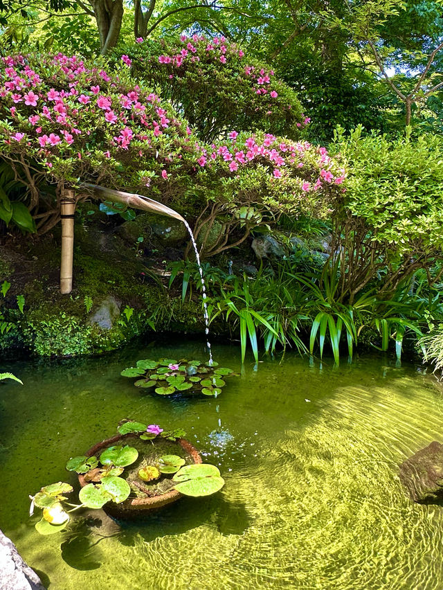 〜神奈川県〜1度は行こう🎋爽やか鎌倉の名スポット