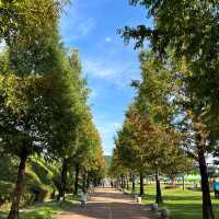 주말 당일치기로 가기 딱 좋은 경기도 초대형 피크닉 공원 추천🌳