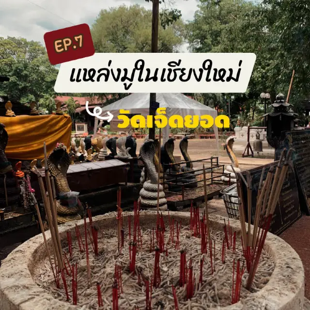 參拜七頂佛塔  | 帶你拜拜 EP.7