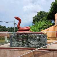 Titi kong visit