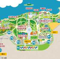 🐠 沖繩必遊景點 - 美麗海水族館！沉浸式海洋奇觀！ 