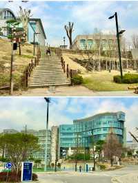 【首爾】延世大學：SKY之一的歷史悠久大學，感受濃厚的人文氣息