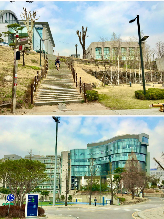 【首爾】延世大學：SKY之一的歷史悠久大學，感受濃厚的人文氣息