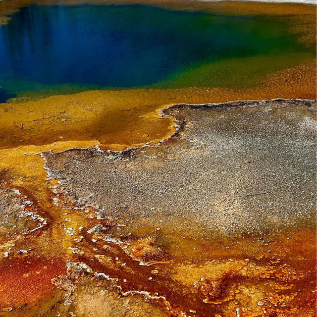 รีวิวYellowstone National Park ที่9arm ไป