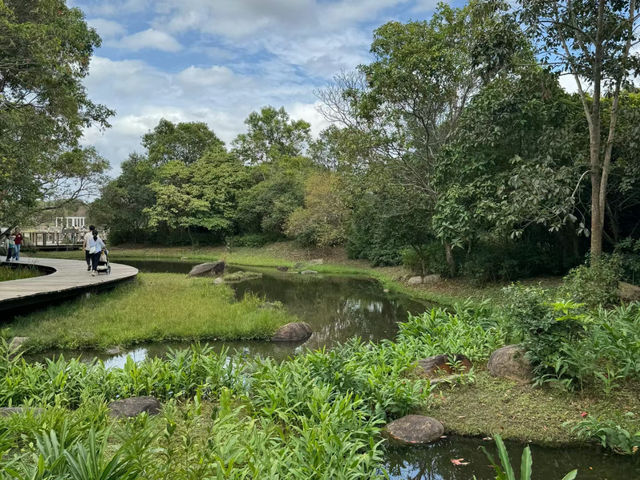 香港小眾生態景點 香港濕地公園