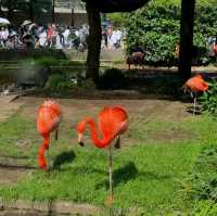 恩賜上野動物園
