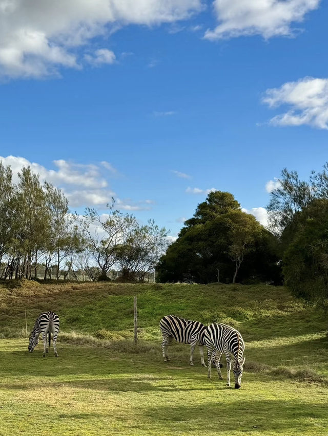 Werribee