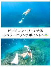 【沖縄 恩納村】おすすめしたい🐠シュノーケルポイント