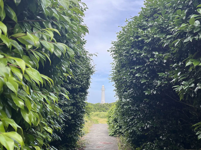 灯台が印象的な爪木崎自然公園@下田🫶🏻