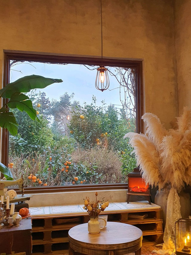 [제주 서귀포] 숲속 분위기에 포토존 귤꽃다락🍊
