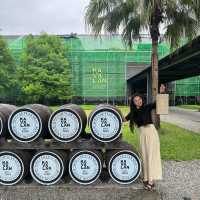 대만여행 이색 체험 카발란양조장🥃