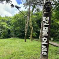 제주여행🏝️ 삼나무 숲길이 멋진 절물 휴양림🌲🌲🌲