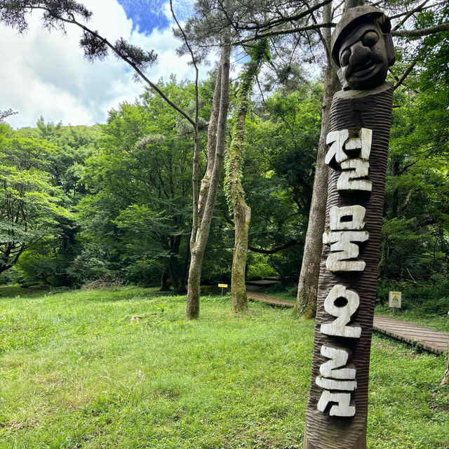 제주여행🏝️ 삼나무 숲길이 멋진 절물 휴양림🌲🌲🌲