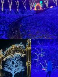 〜神奈川県〜一度は見て欲しい関東最大イルミネーション！
