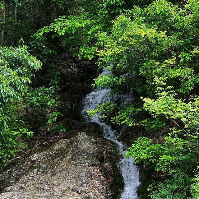 「天野川之滝」：隱秘寶地，快樂時光