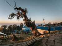 Day 3 Mardi Himal (Low Camp - High Camp)