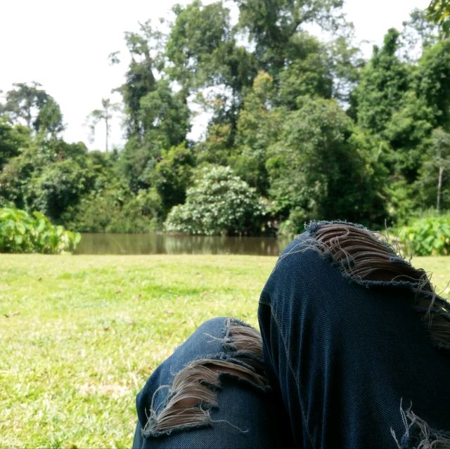 โบกรถ..ขึ้นอุทยานแห่งชาติเขาใหญ่