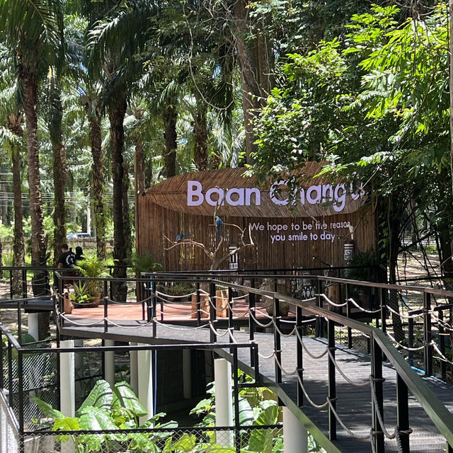 Baan Chang Cafe’ at Krabi🐘☕️🌿🌴🌴