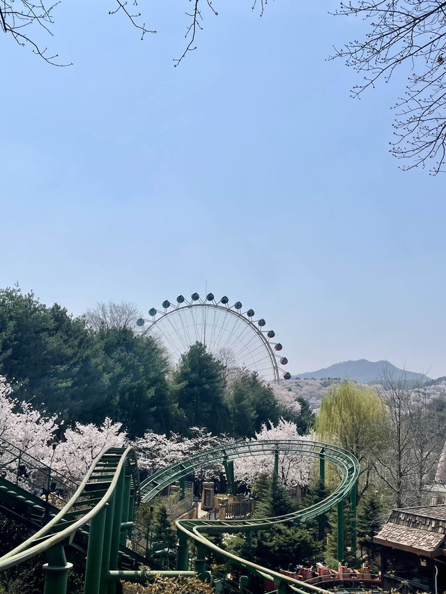 Review Everland 🎡
