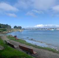 Exploring the 17-Mile Drive: A Scenic Coastal Journey