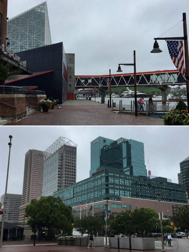Day Trip to Downtown Baltimore, USA 🇺🇸