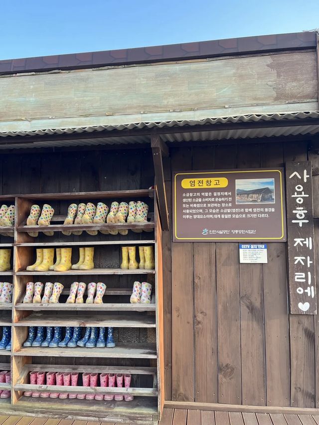  📍씨사이드파크 Seaside Park 