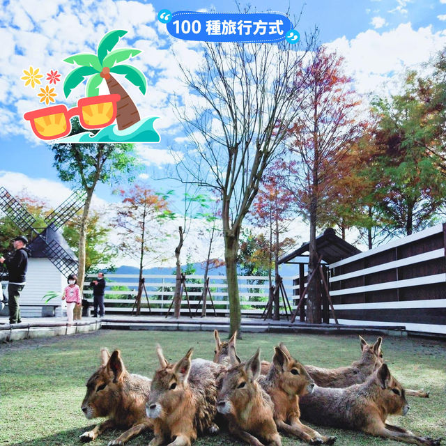 【台灣】宜蘭張美阿嬤農場：開放式動物園，提前買票更便宜