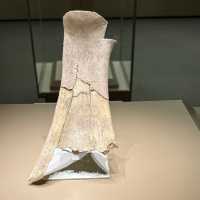 From Borneo to Anyang: A 3,000-Kilometer Journey to explore 3000 years history of Shang Dynasty 