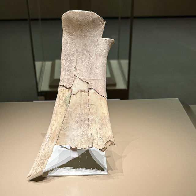 From Borneo to Anyang: A 3,000-Kilometer Journey to explore 3000 years history of Shang Dynasty 